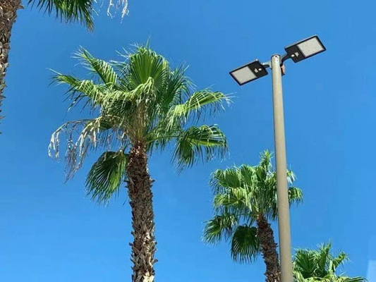Straight Round Lighting Poles, straight lighting columns,hot dip galvanized lighting poles, powder coated lighting poles